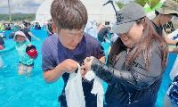 경쟁은 짜릿하게, 화합은 뜨겁게…군민‧기관‧예술인이 함께 만든 제28회 봉화은어축제