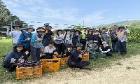 휴천2동, 농촌일손나눔에 ‘구슬땀’