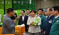 송미령 농림축산식품부 장관, 영주시 여름사과 생육현황 및 산지유통 현장점검