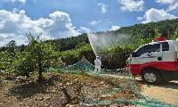 산림청-지자체-공공기관 협업방제, 농림지 연접 산림내 돌발해충 공동대응